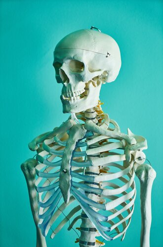 A skeleton in front of a teal background